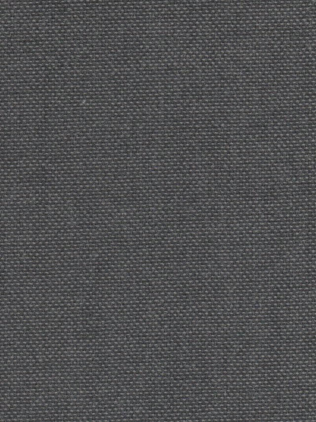 Imagen de VIV-SQUIRREL