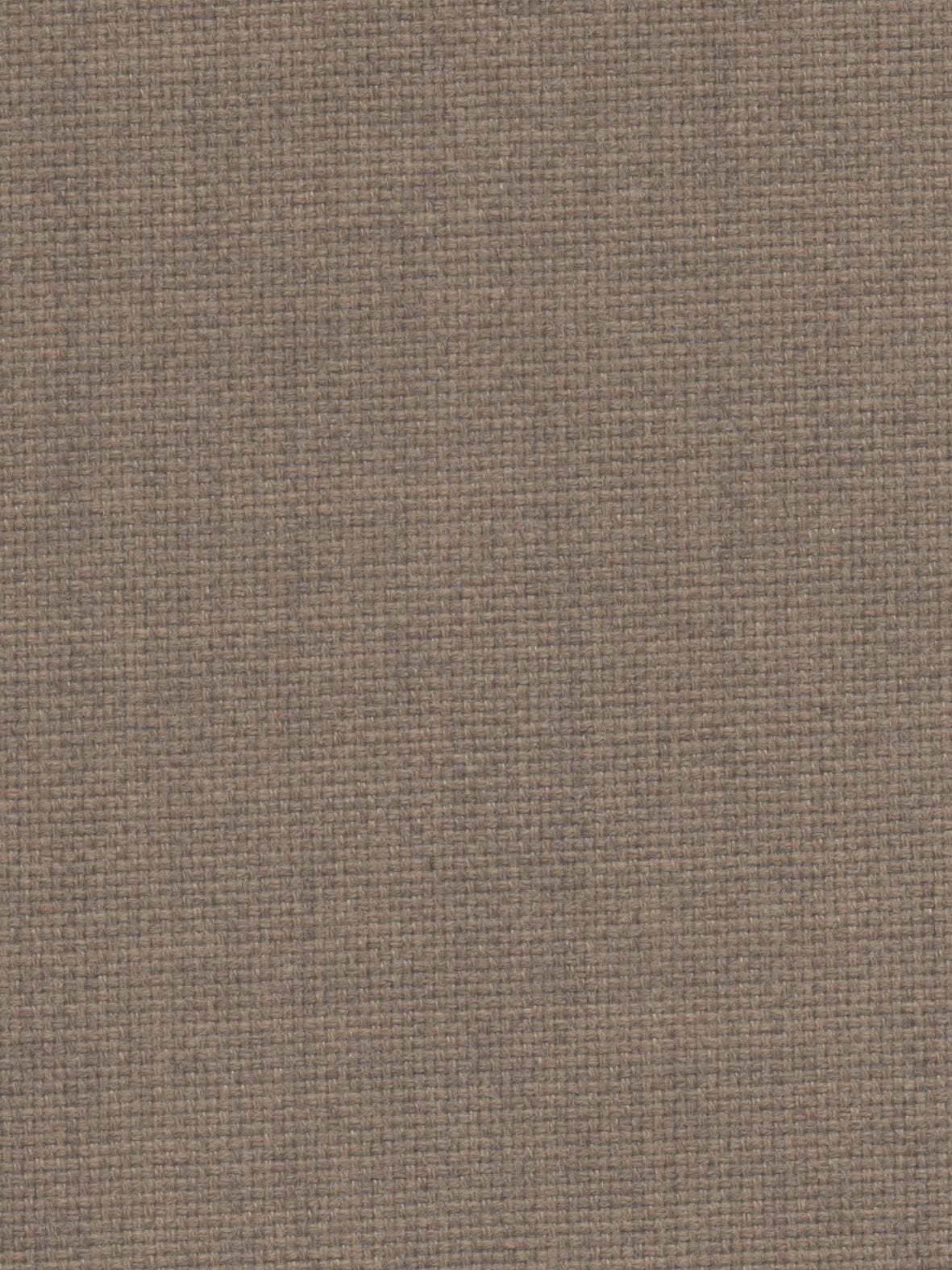 Imagen de VIV-TAVERN