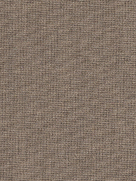 Imagen de VIV-TAVERN