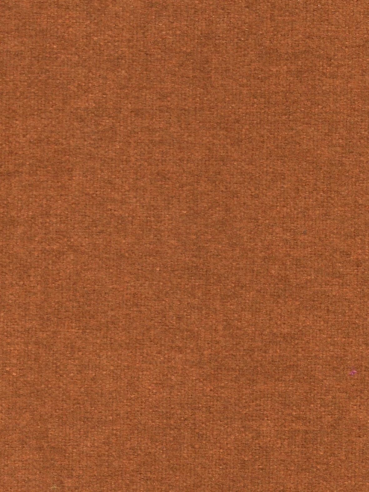 Imagen de WO-BRUNE