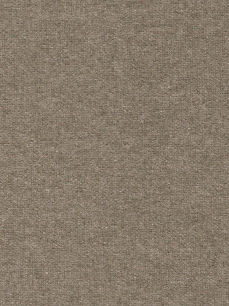 Imagen de WO-TAUPE