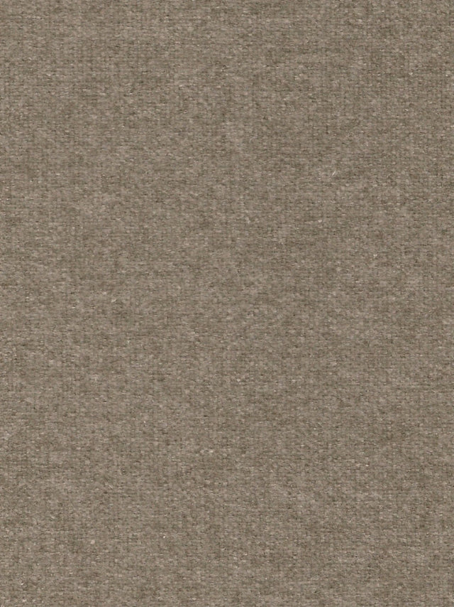 Imagen de WO-TAUPE